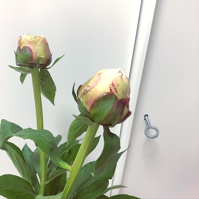 mtmさんの実例写真