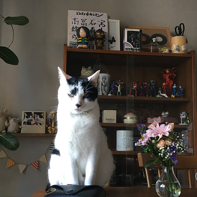 hanaさんの実例写真