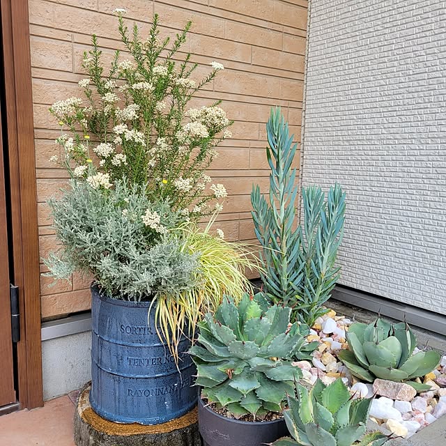 masarinn.さんの部屋