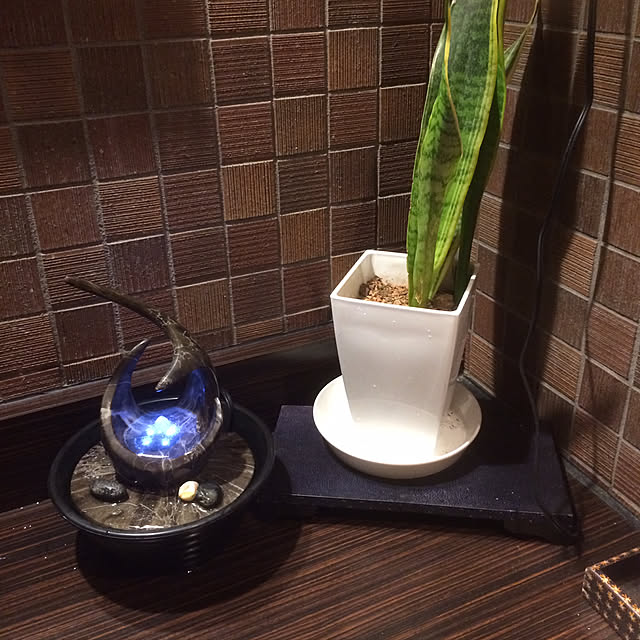bm.aoiさんの実例写真