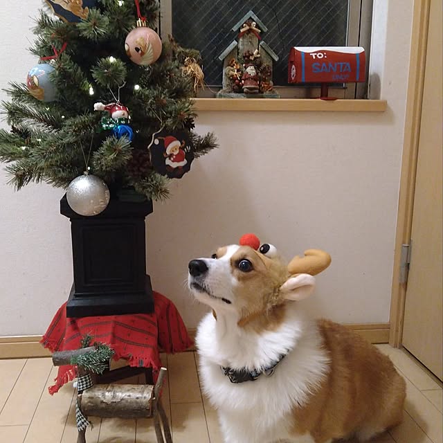 kyon814さんの実例写真