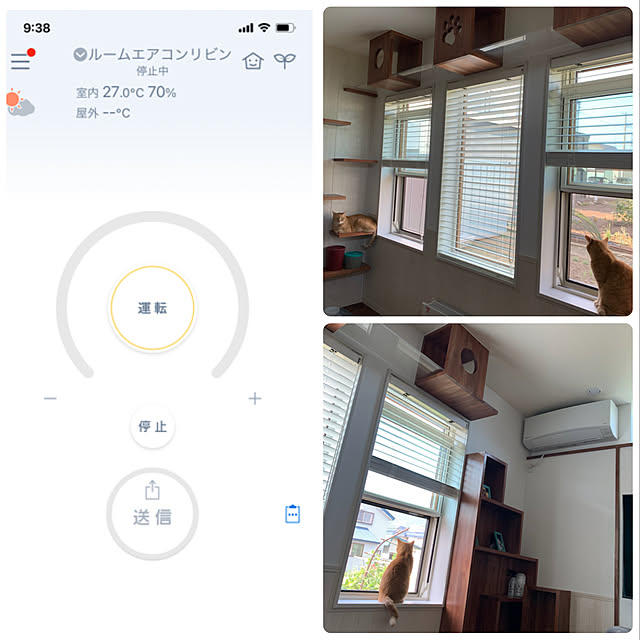 mikeume7さんの実例写真