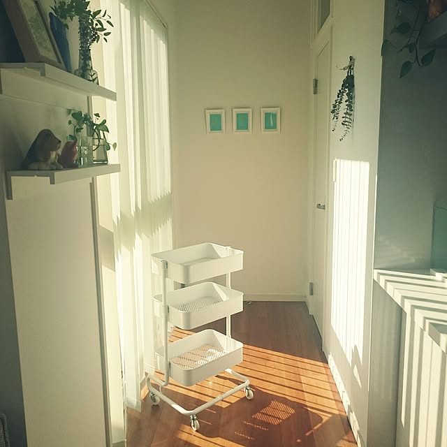 shiokoさんの実例写真