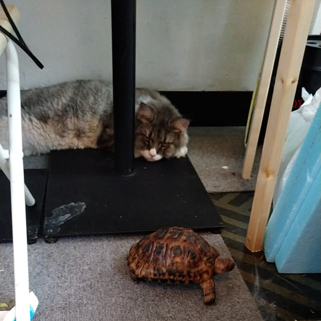 lilyさんの実例写真