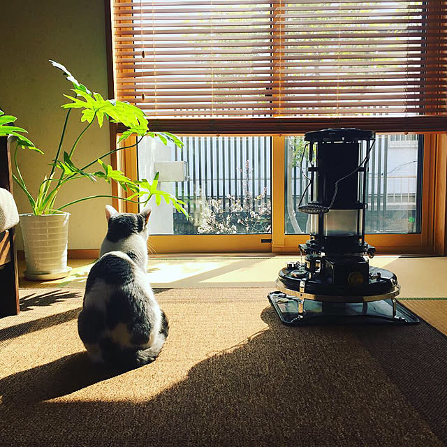 Atsukoさんの実例写真