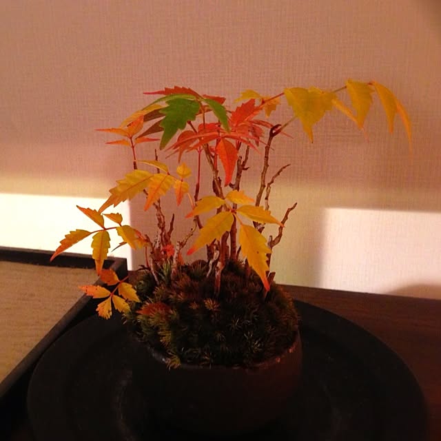 kinnさんの実例写真