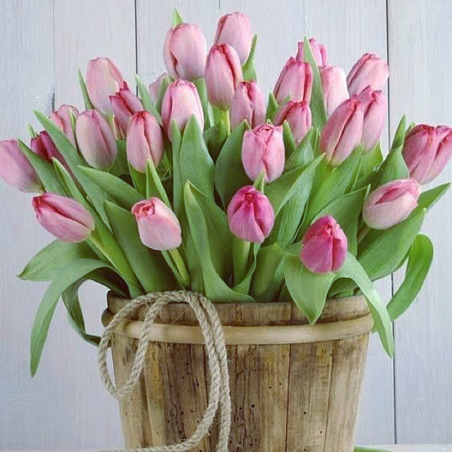 Jaquelineさんの実例写真