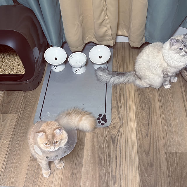 Rikkoさんの部屋