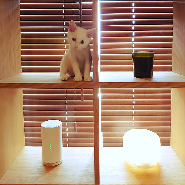 Blackcatさんの実例写真