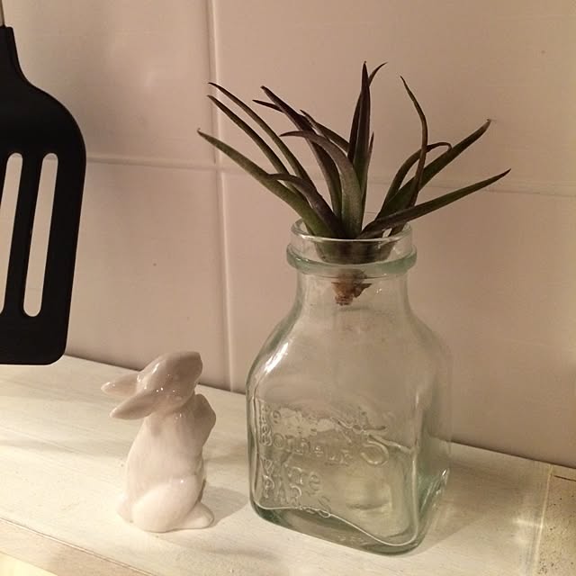 pinkroseさんの実例写真
