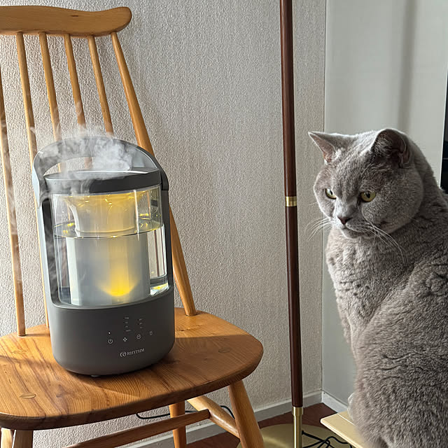 chulashihoさんの部屋