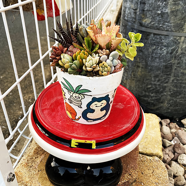 実例写真