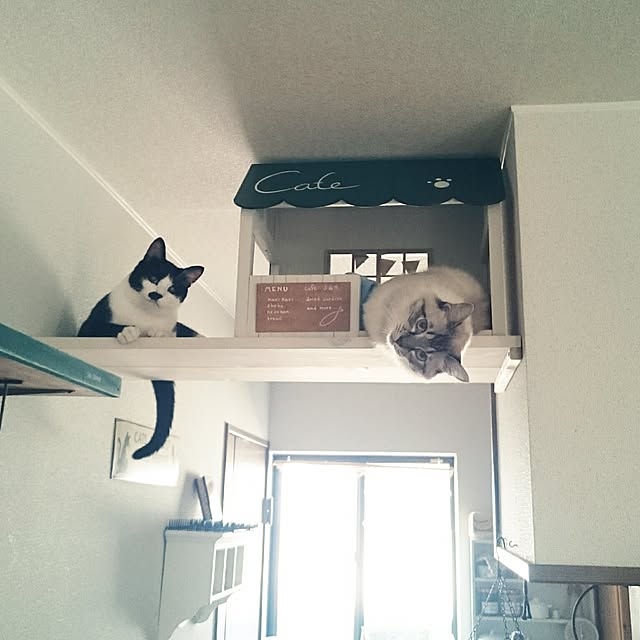 kazaneさんの実例写真