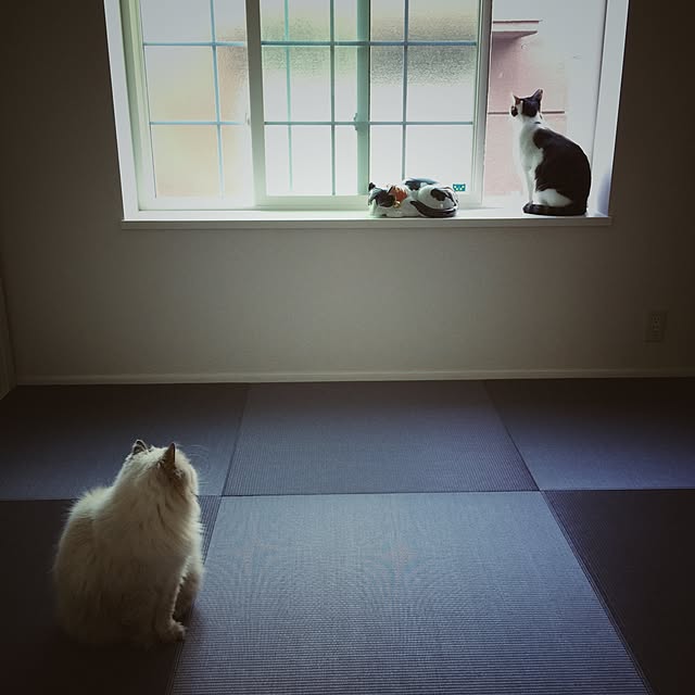 yuchiさんの実例写真
