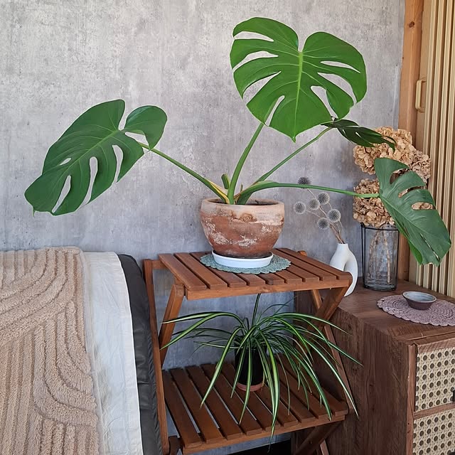 midoriさんの部屋