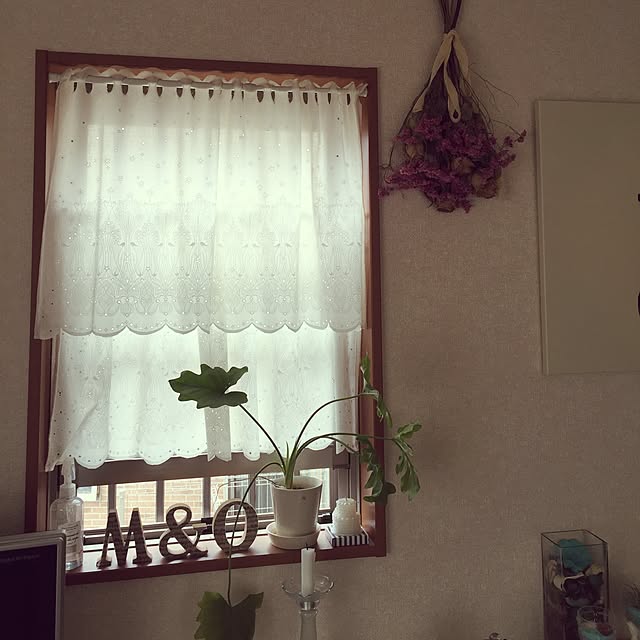 hisa-shellsさんの実例写真