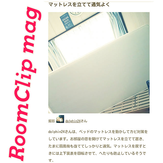 dolphin24さんの実例写真