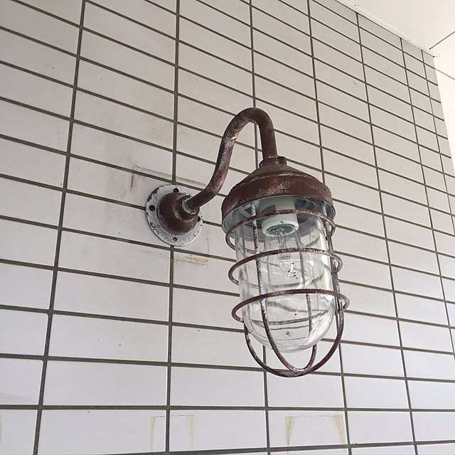 realmomogonさんの実例写真