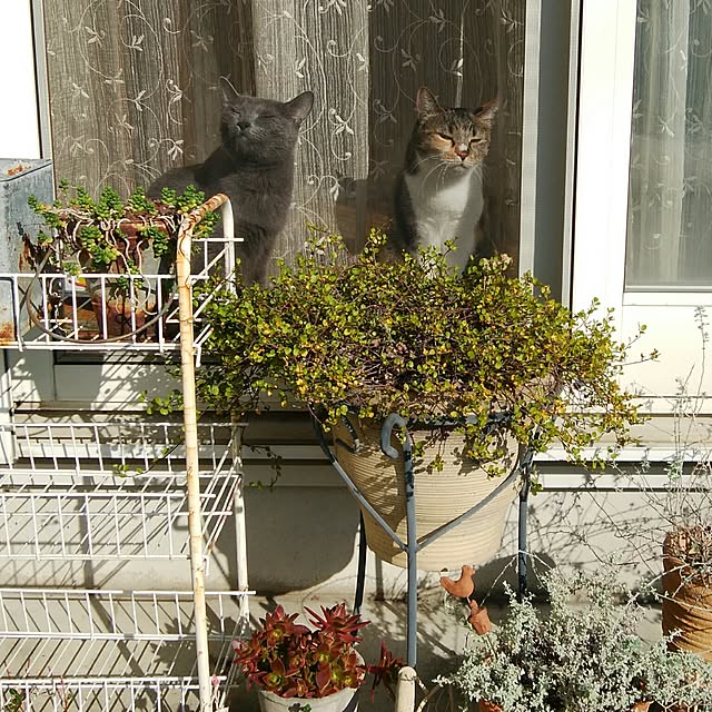 tomo1220さんの実例写真