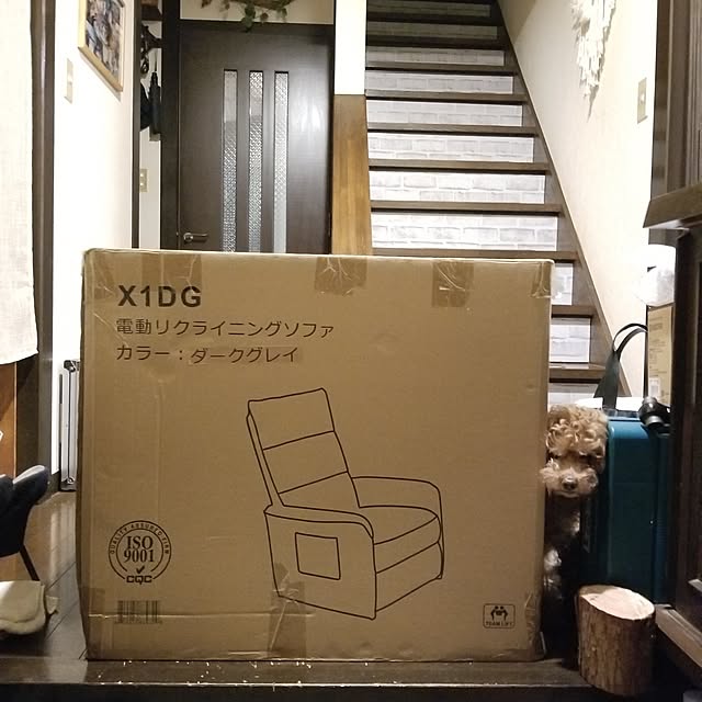 midoriさんの実例写真