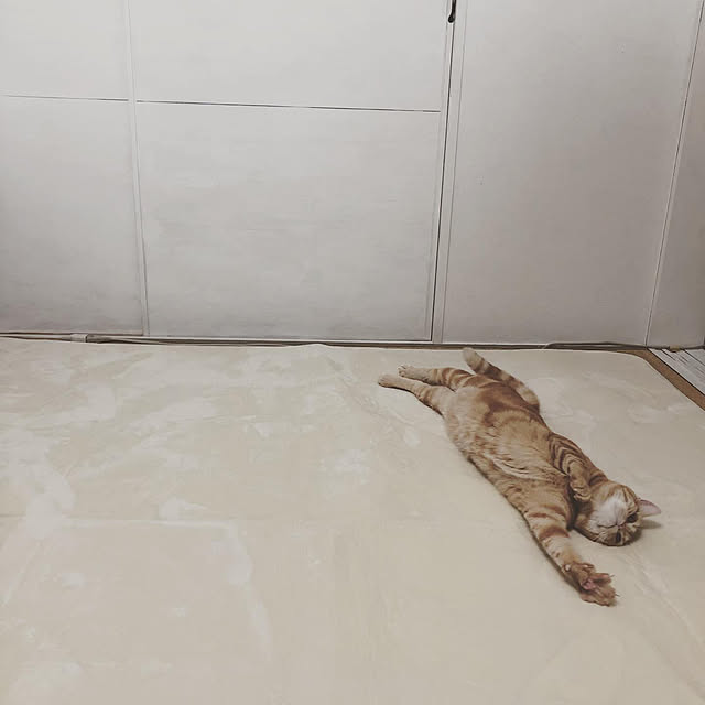 Atelier.mさんの実例写真