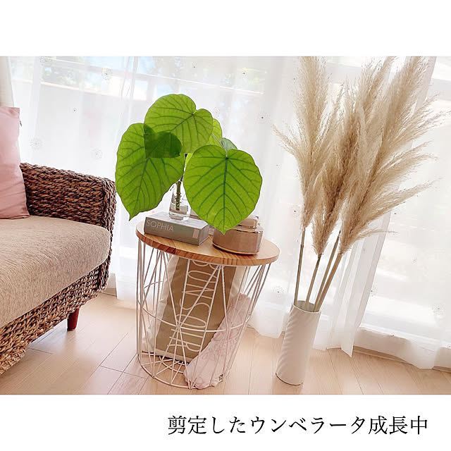 chaluさんの実例写真