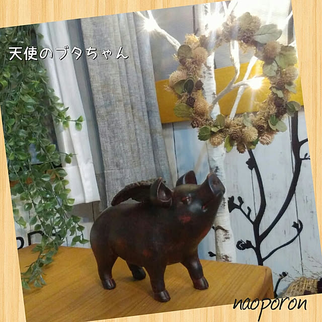 naoporonさんの実例写真