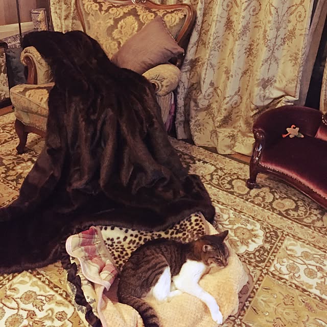 emmyyさんの実例写真