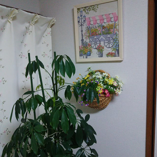 naopyiさんの実例写真