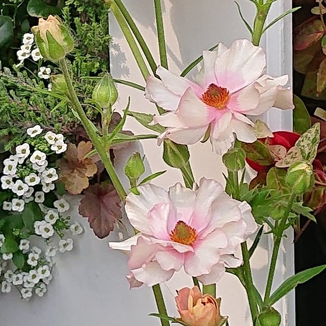 taeko0779さんの部屋