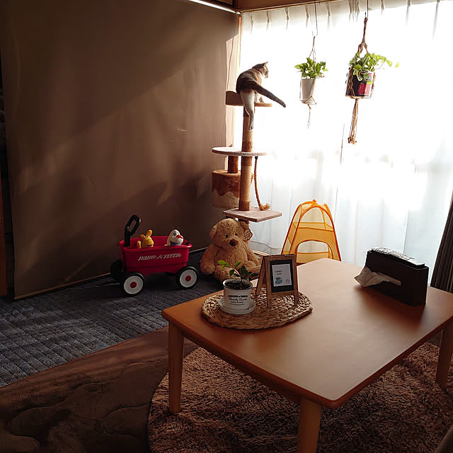 fukuさんの実例写真