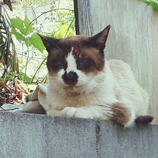 YUKOさんの実例写真