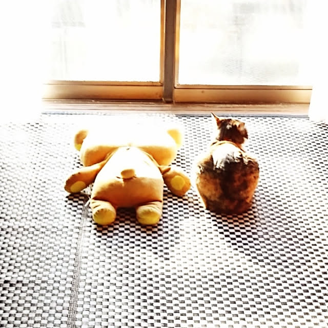 BettyMugiさんの実例写真