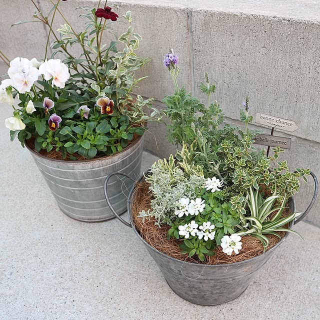 aya_blueさんの実例写真