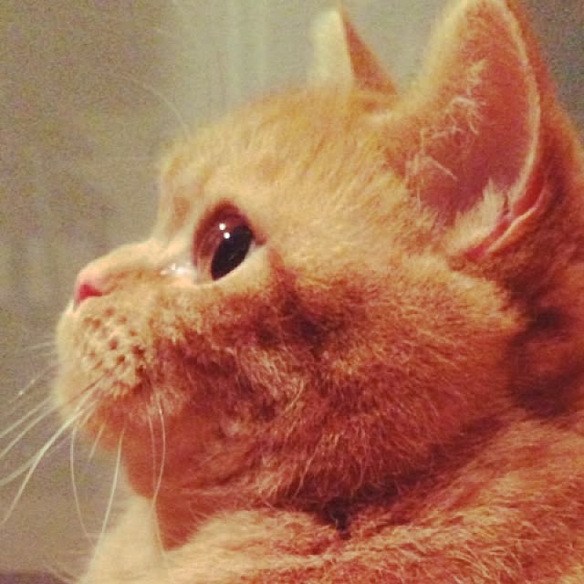 shujiさんの実例写真