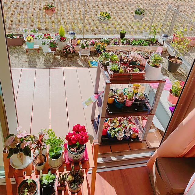 Catharine703さんの実例写真