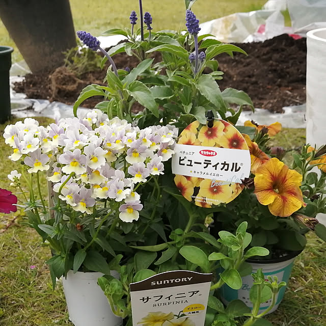 Kinanさんの実例写真