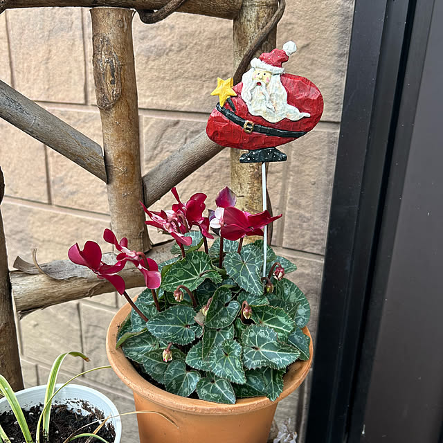 ritsukoさんの部屋