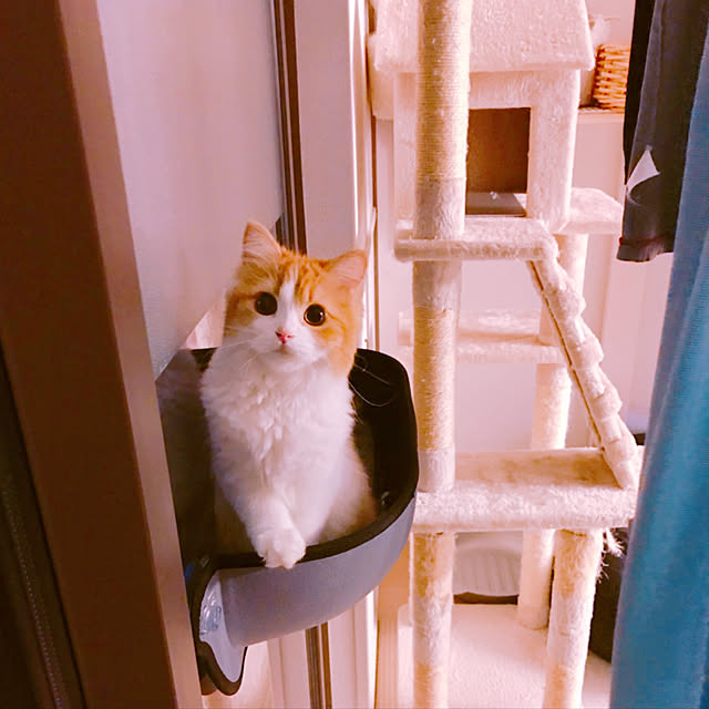 H.Tさんの実例写真