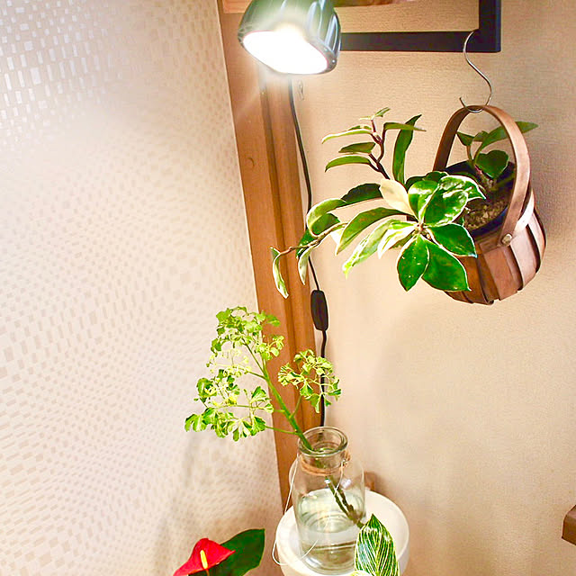 IKEA 植物育成ライトのおすすめ商品とおしゃれな実例