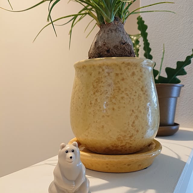otokiさんの実例写真