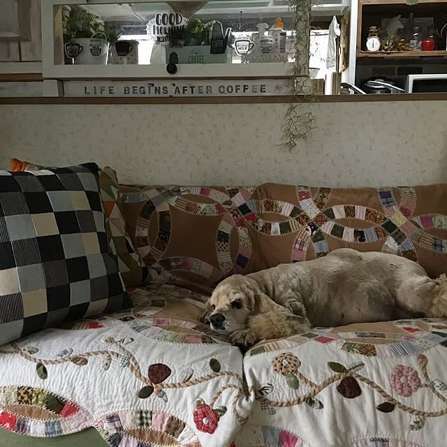 Annieさんの実例写真