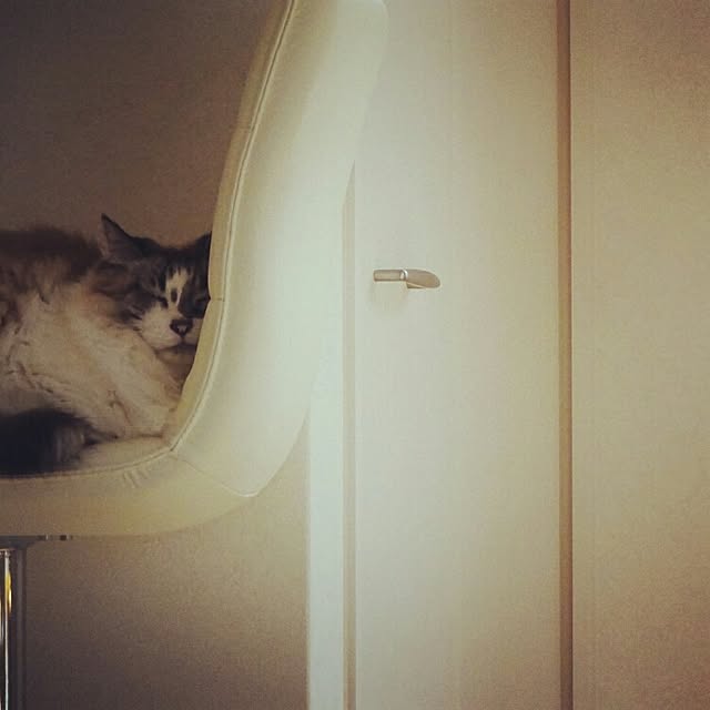 123sgnbさんの実例写真