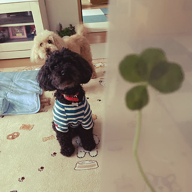 takeさんの実例写真