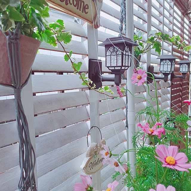 moko.7525himeさんの実例写真