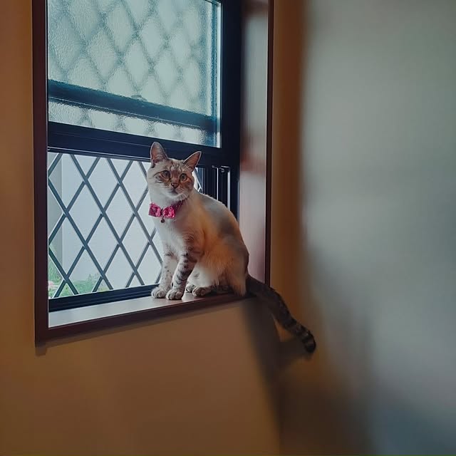 Atelier_tamakiさんの部屋
