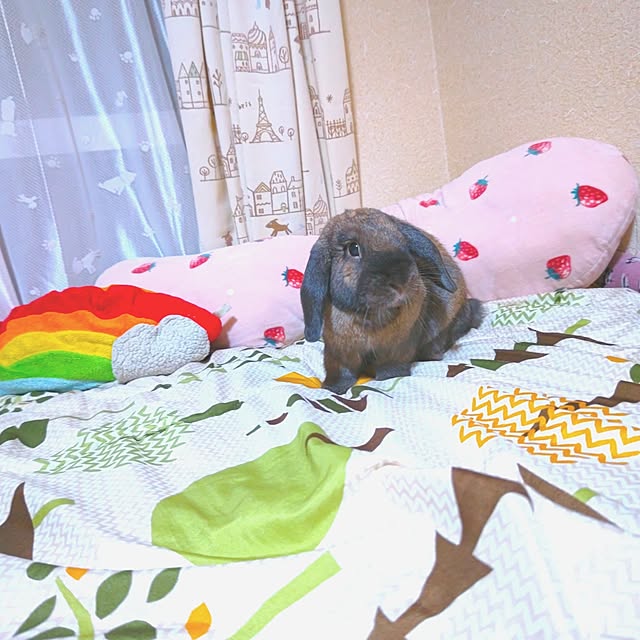 mariaさんの実例写真