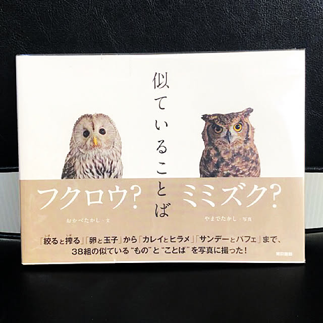 pecoさんの実例写真