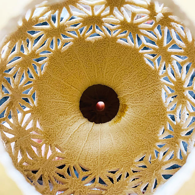 chanduさんの部屋