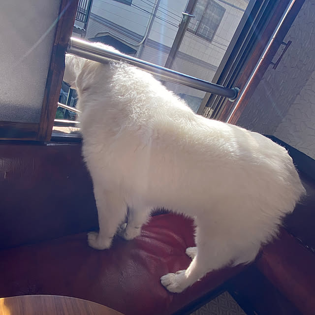 ohanaさんの部屋